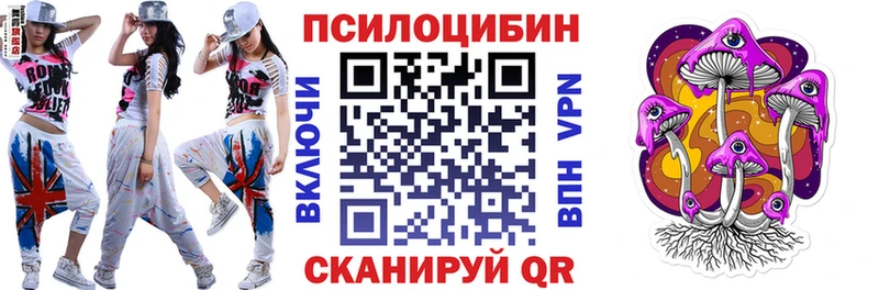 Галлюциногенные грибы мухоморы  Купить закладки  Киселёвск 